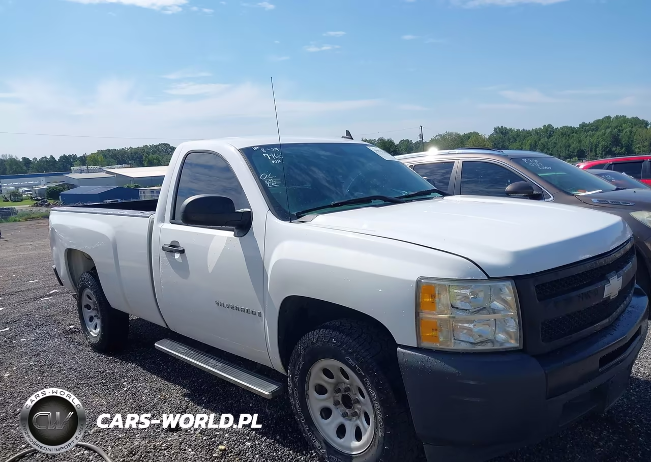 2009 Chevrolet Silverado 1500 Work Truck