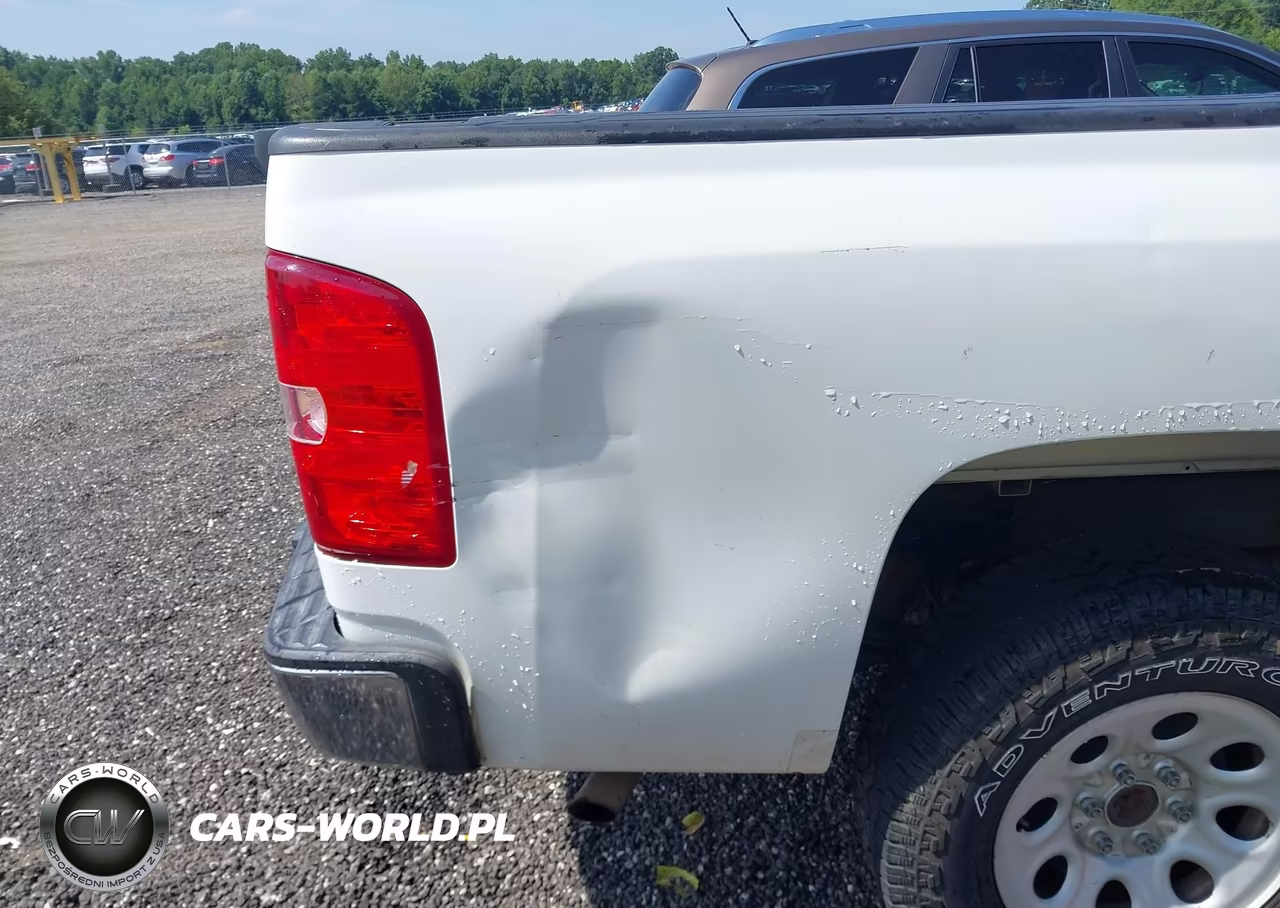 2009 Chevrolet Silverado 1500 Work Truck VIN:1GCEC14C89Z107555 - 6