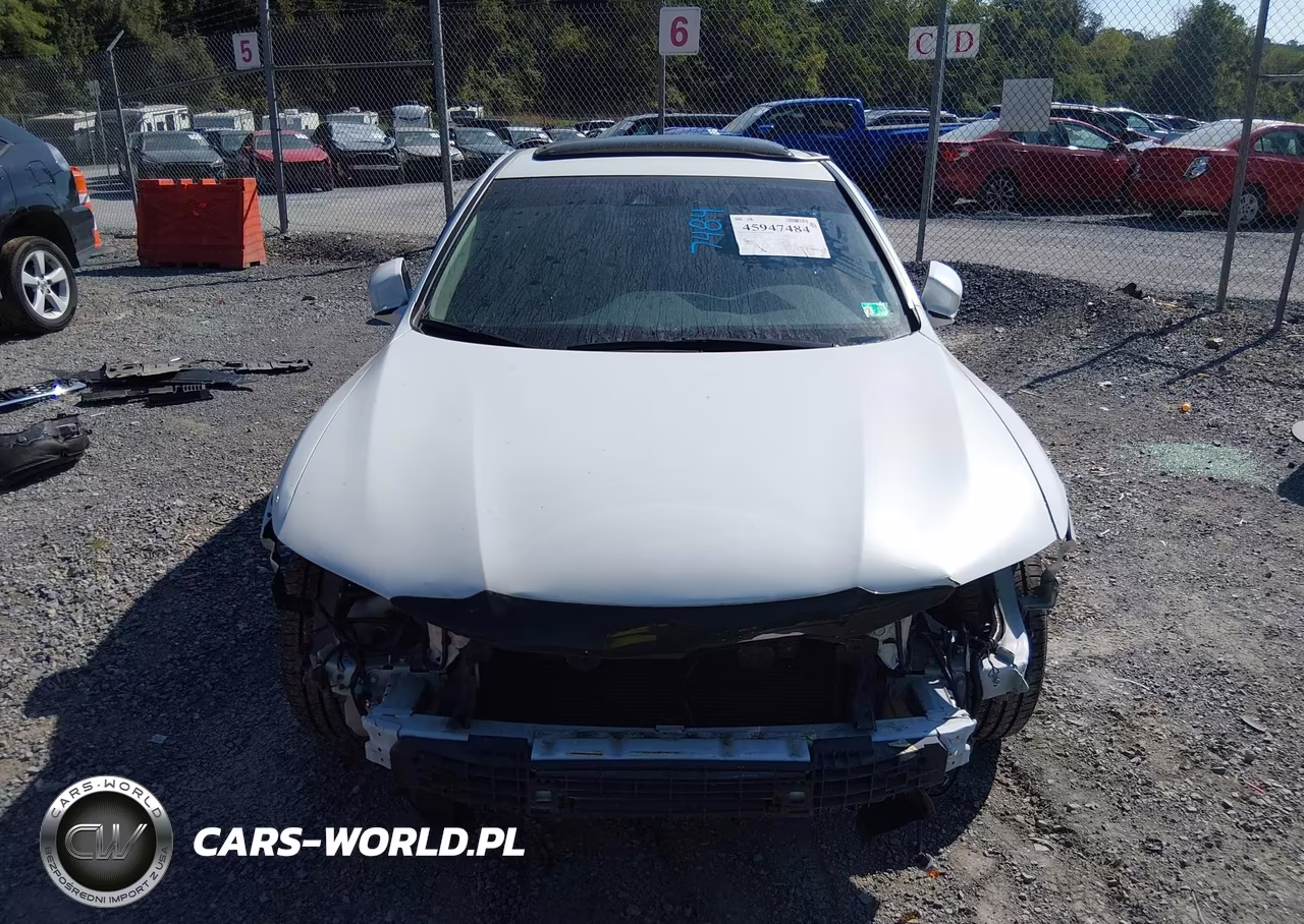 2014 Honda Accord Ex-L V-6 VIN:1HGCT2B84EA001643 - 13