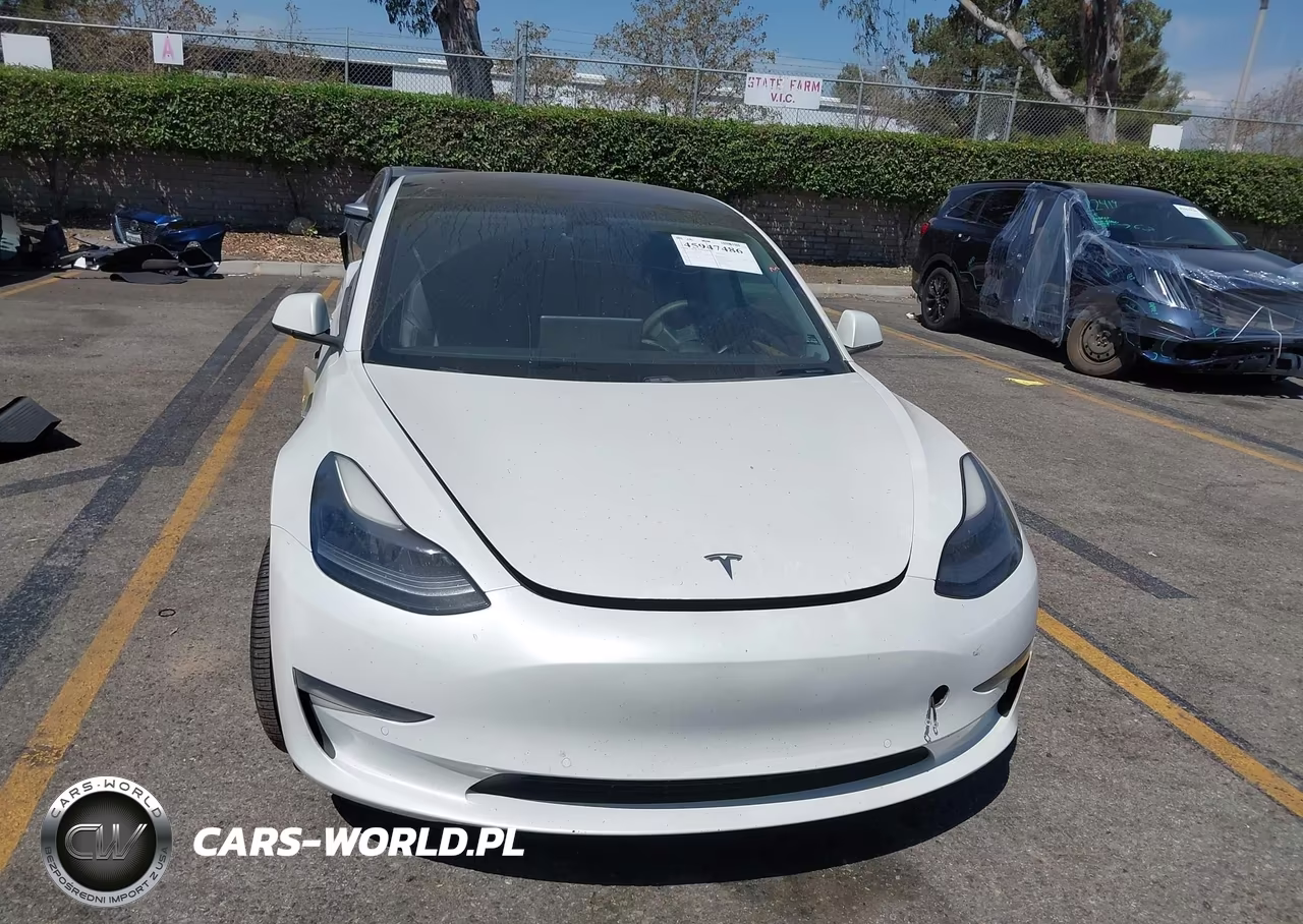 2021 Tesla Model 3 Standard Range Plus Rear-Wheel Drive VIN:5YJ3E1EA7MF003524 - 11
