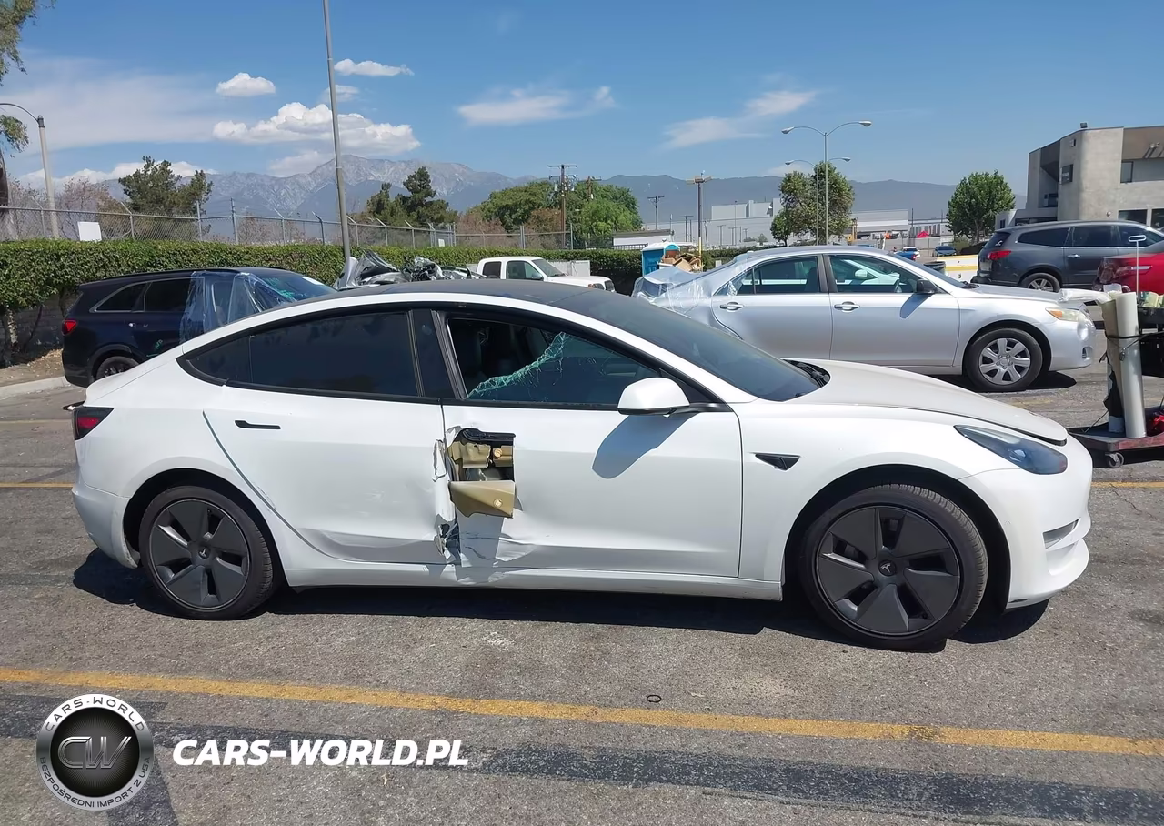 2021 Tesla Model 3 Standard Range Plus Rear-Wheel Drive VIN:5YJ3E1EA7MF003524 - 12