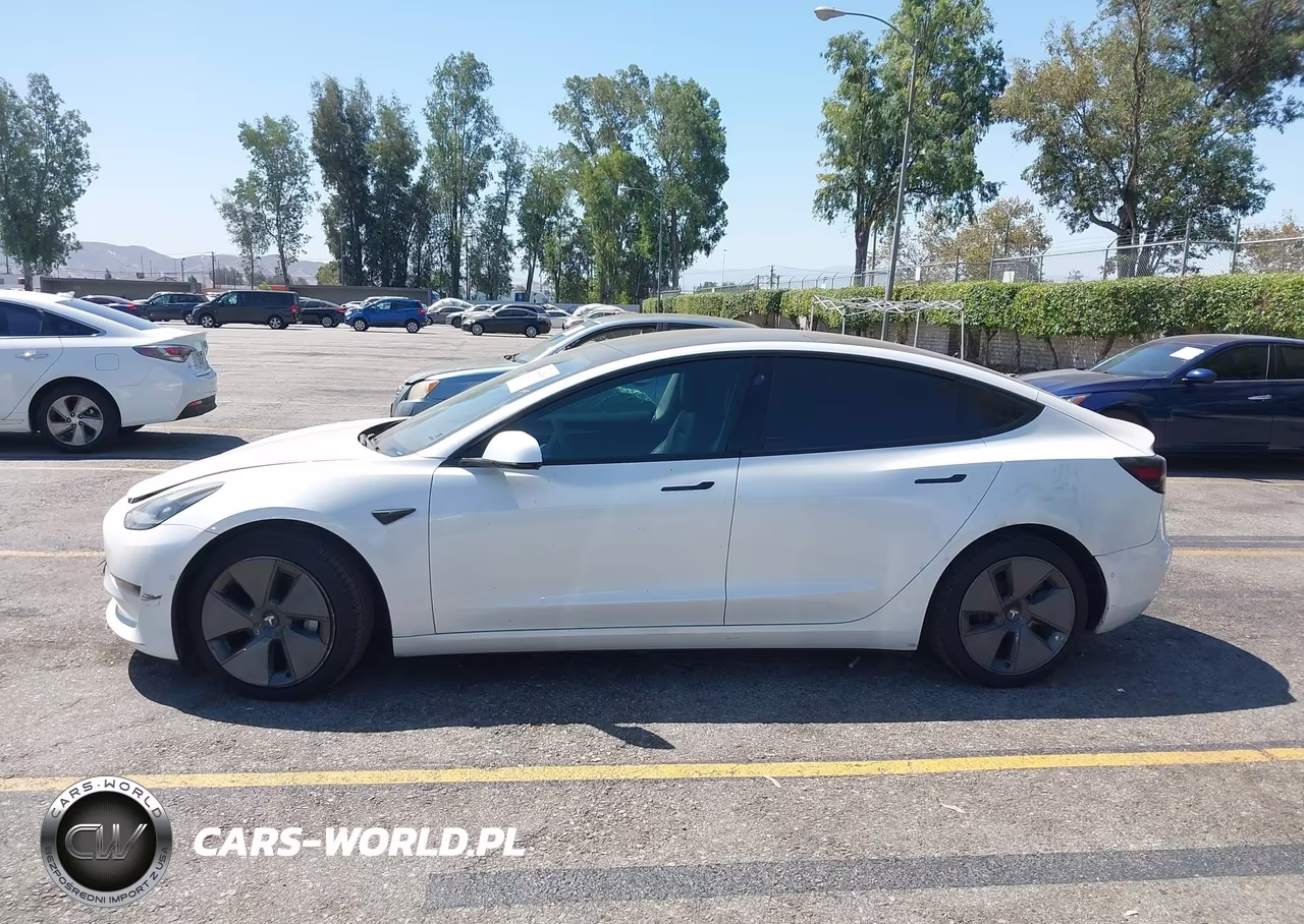 2021 Tesla Model 3 Standard Range Plus Rear-Wheel Drive VIN:5YJ3E1EA7MF003524 - 13
