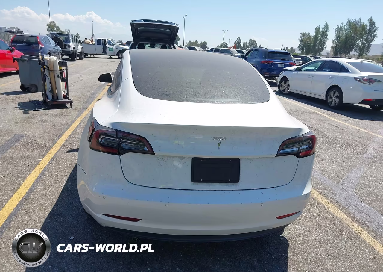 2021 Tesla Model 3 Standard Range Plus Rear-Wheel Drive VIN:5YJ3E1EA7MF003524 - 15