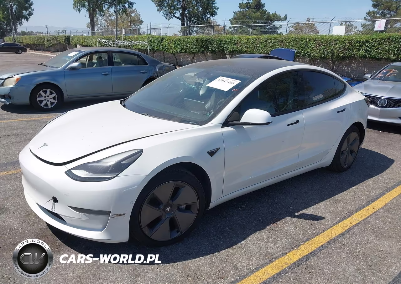 2021 Tesla Model 3 Standard Range Plus Rear-Wheel Drive VIN:5YJ3E1EA7MF003524 - 2