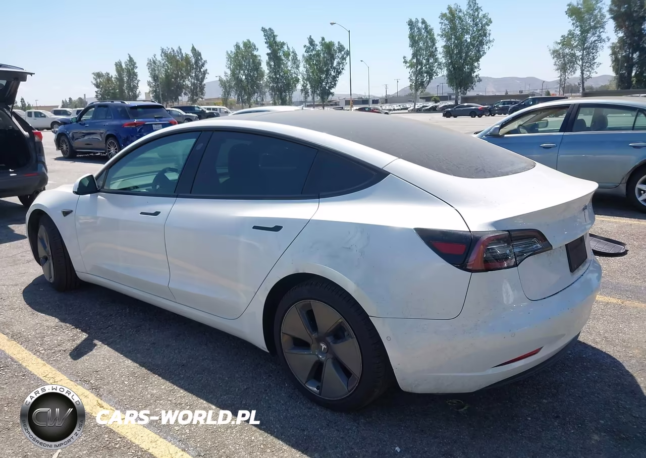 2021 Tesla Model 3 Standard Range Plus Rear-Wheel Drive VIN:5YJ3E1EA7MF003524 - 3