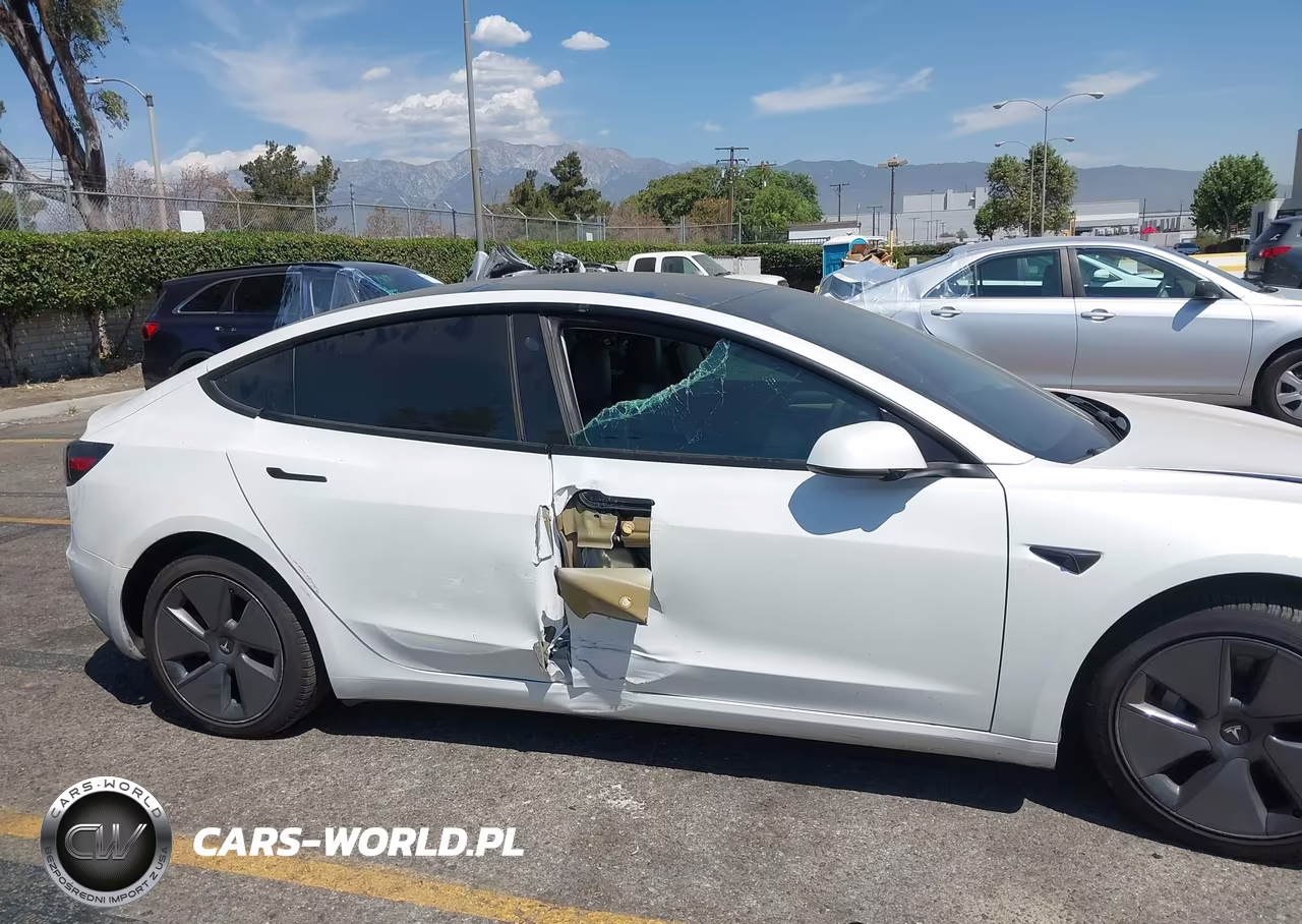 2021 Tesla Model 3 Standard Range Plus Rear-Wheel Drive VIN:5YJ3E1EA7MF003524 - 6