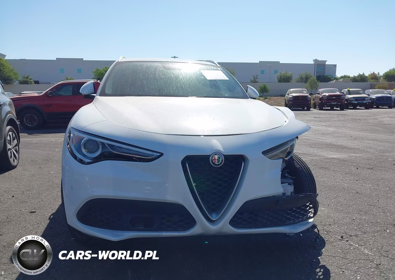 2019 Alfa Romeo Stelvio Rwd VIN:ZASPAJANXK7C49385 - 12