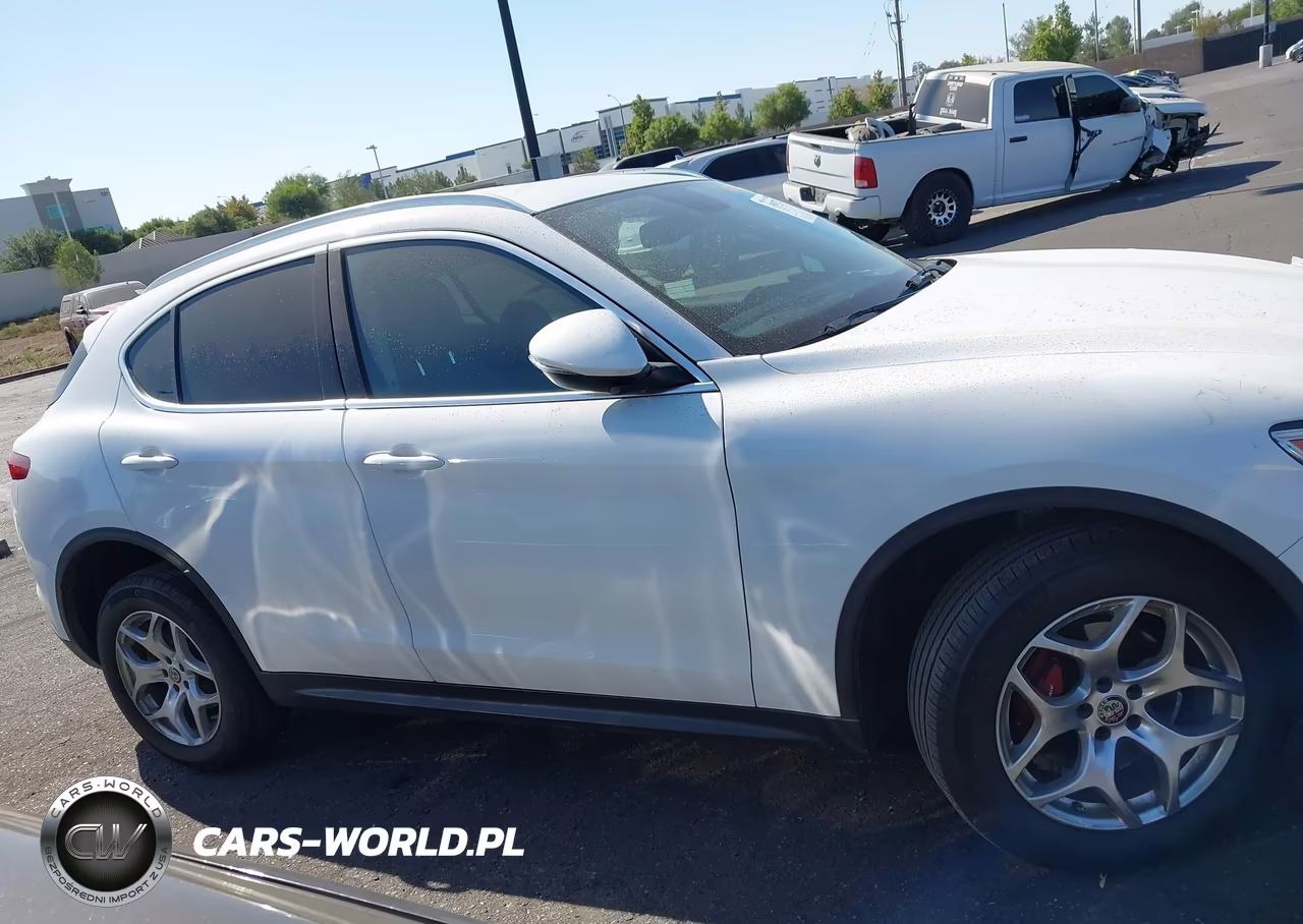 2019 Alfa Romeo Stelvio Rwd VIN:ZASPAJANXK7C49385 - 13