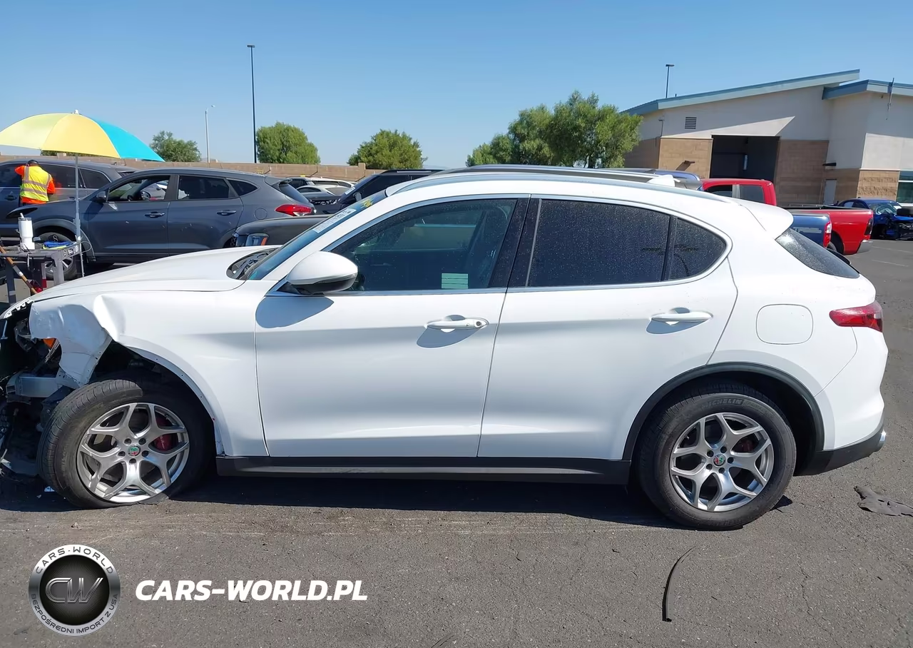 2019 Alfa Romeo Stelvio Rwd VIN:ZASPAJANXK7C49385 - 14
