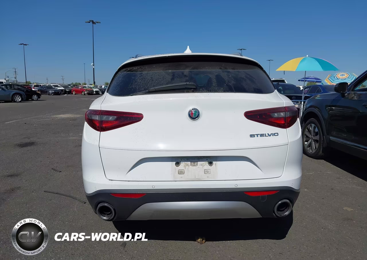 2019 Alfa Romeo Stelvio Rwd VIN:ZASPAJANXK7C49385 - 16