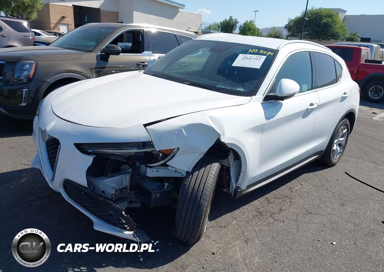 2019 Alfa Romeo Stelvio Rwd VIN:ZASPAJANXK7C49385 - 2