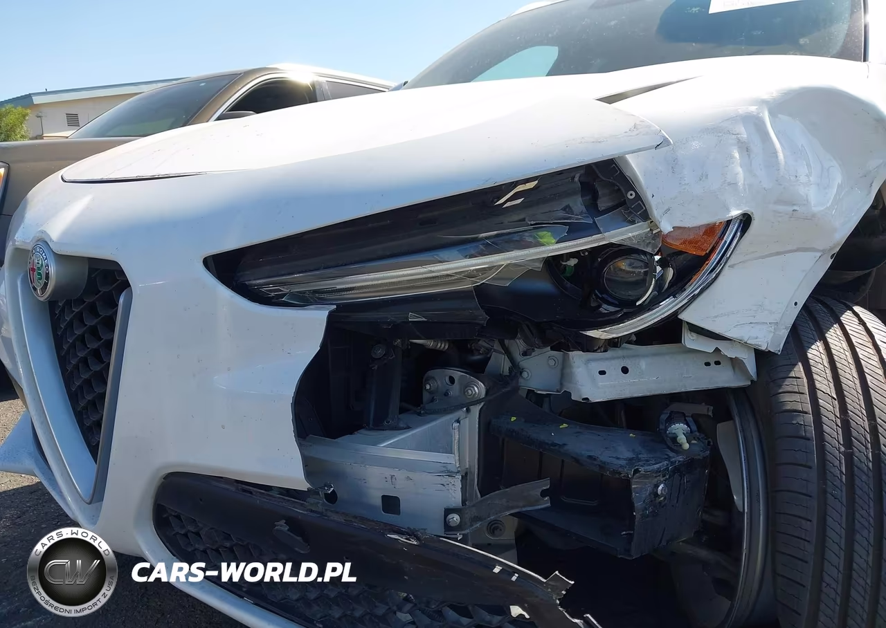 2019 Alfa Romeo Stelvio Rwd VIN:ZASPAJANXK7C49385 - 20