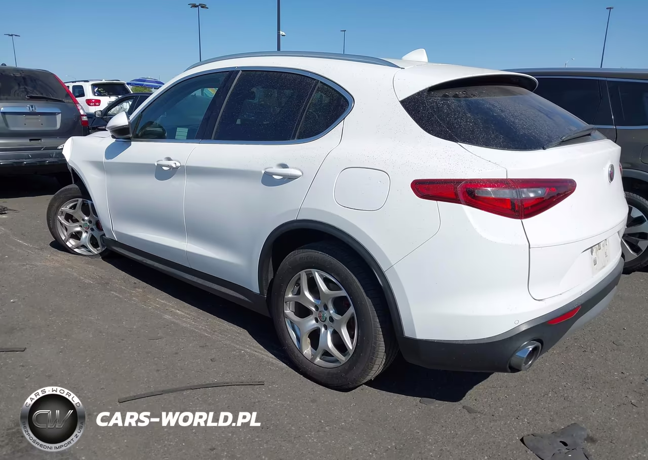 2019 Alfa Romeo Stelvio Rwd VIN:ZASPAJANXK7C49385 - 3