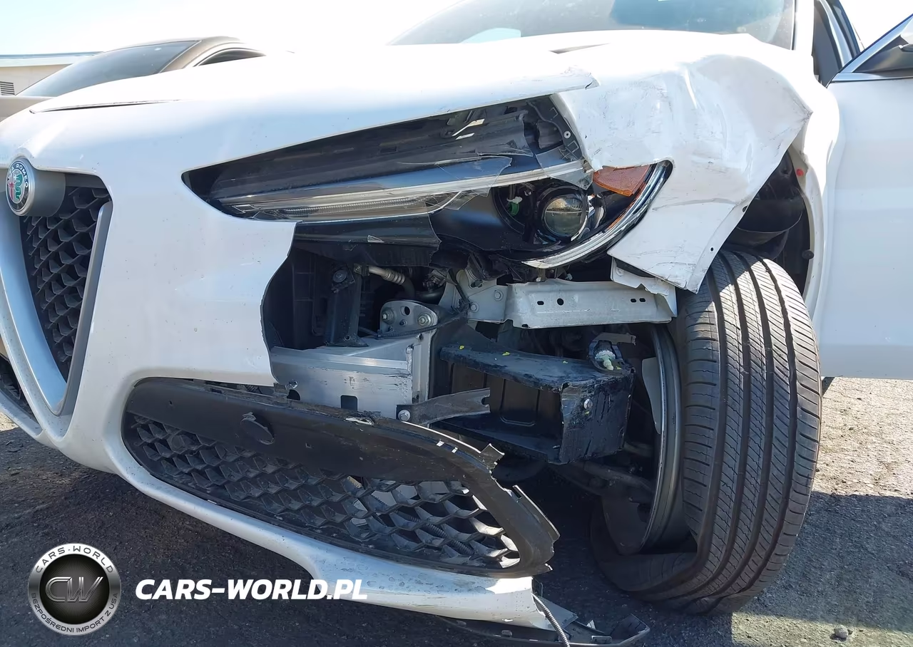 2019 Alfa Romeo Stelvio Rwd VIN:ZASPAJANXK7C49385 - 6