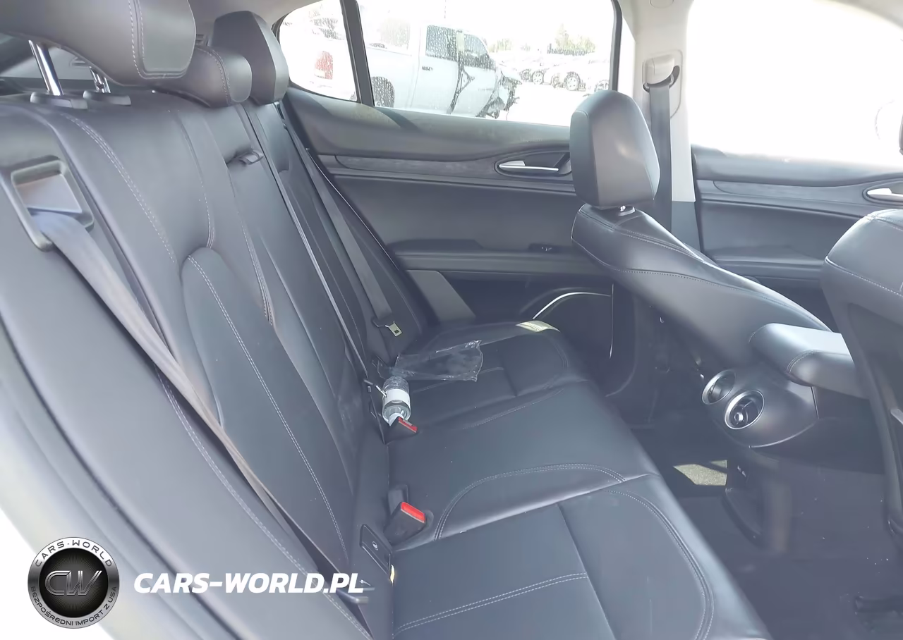 2019 Alfa Romeo Stelvio Rwd VIN:ZASPAJANXK7C49385 - 8