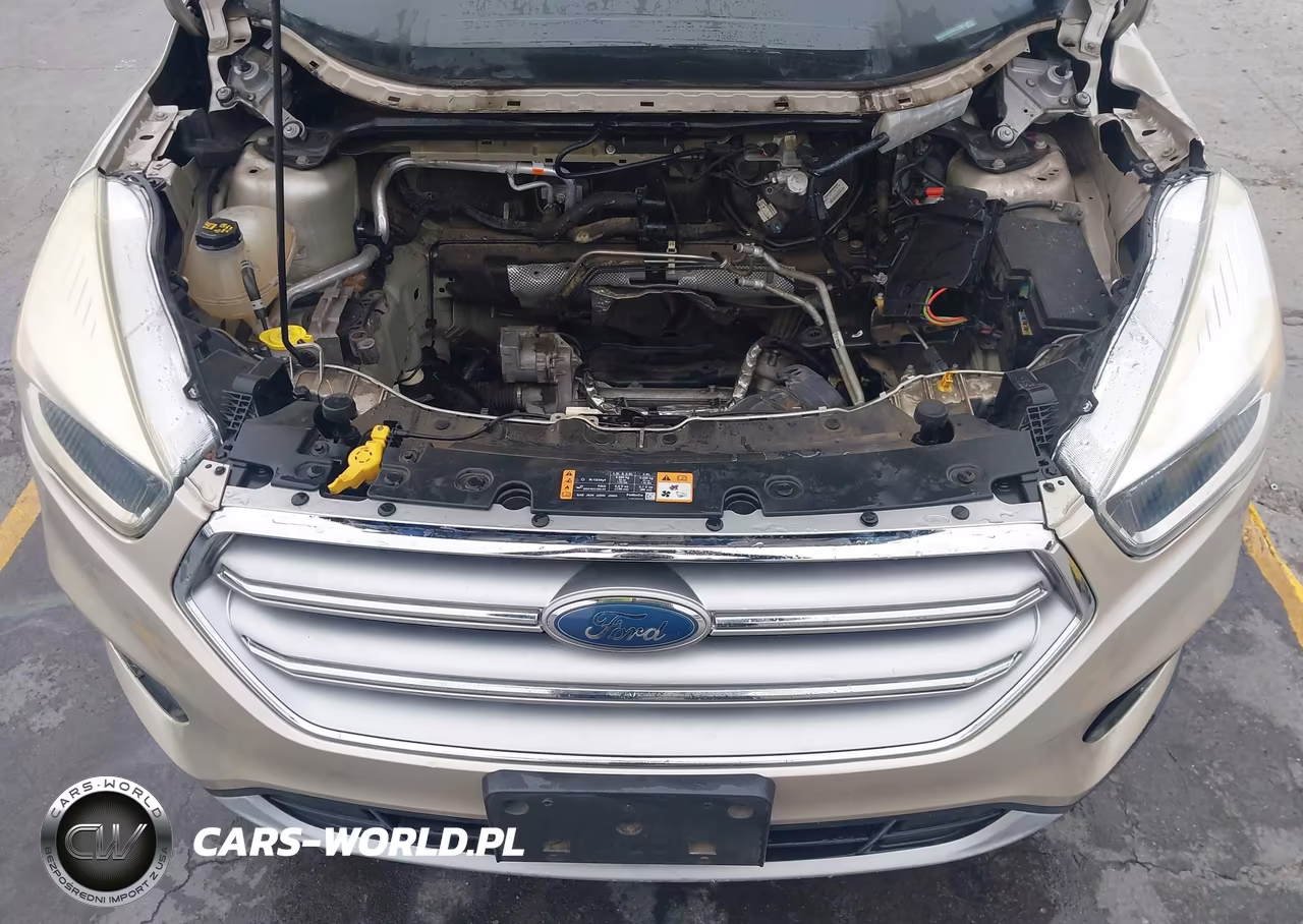 2017 Ford Escape Se VIN:1FMCU0GDXHUC27061 - 10