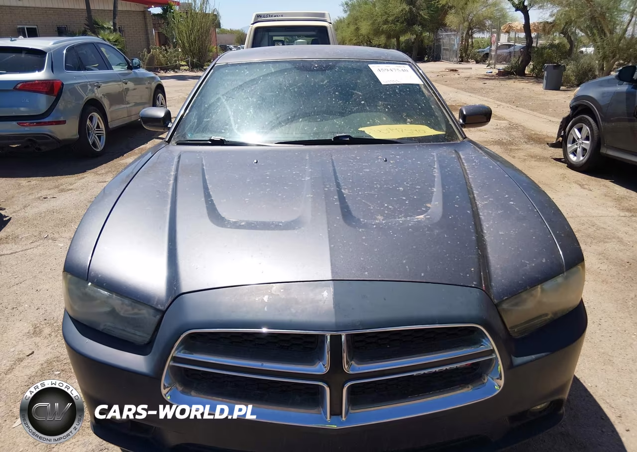 2014 Dodge Charger Se VIN:2C3CDXBG8EH256463 - 12