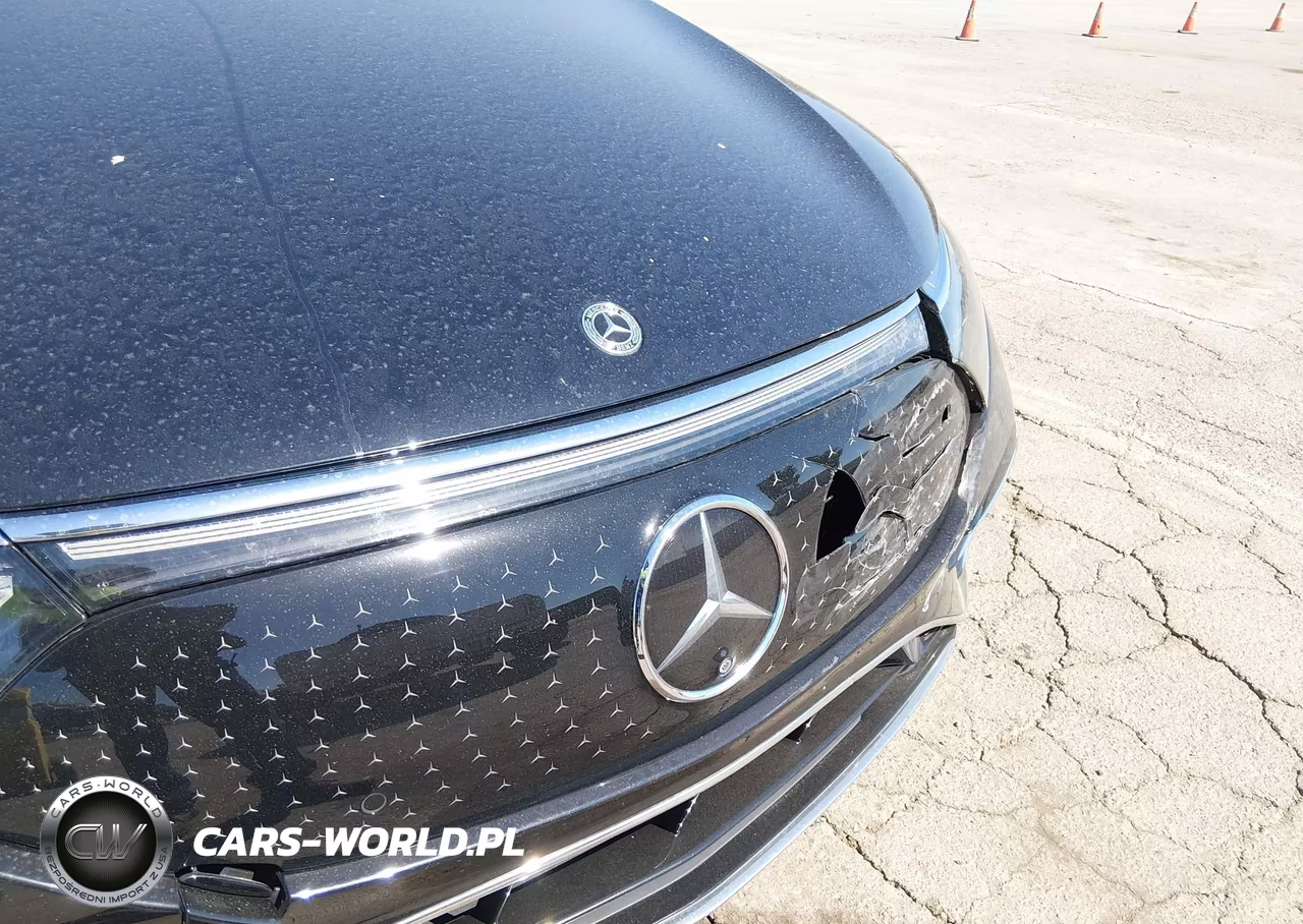 2023 Mercedes-Benz Eqs 450+ VIN:W1KCG2DB4PA026840 - 13