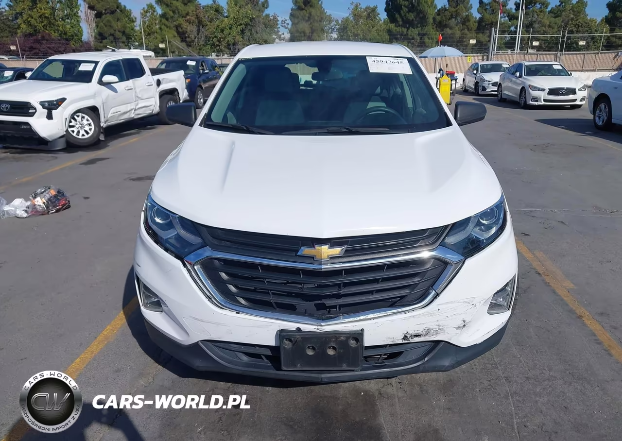 2019 Chevrolet Equinox Ls VIN:3GNAXHEV6KS557453 - 12