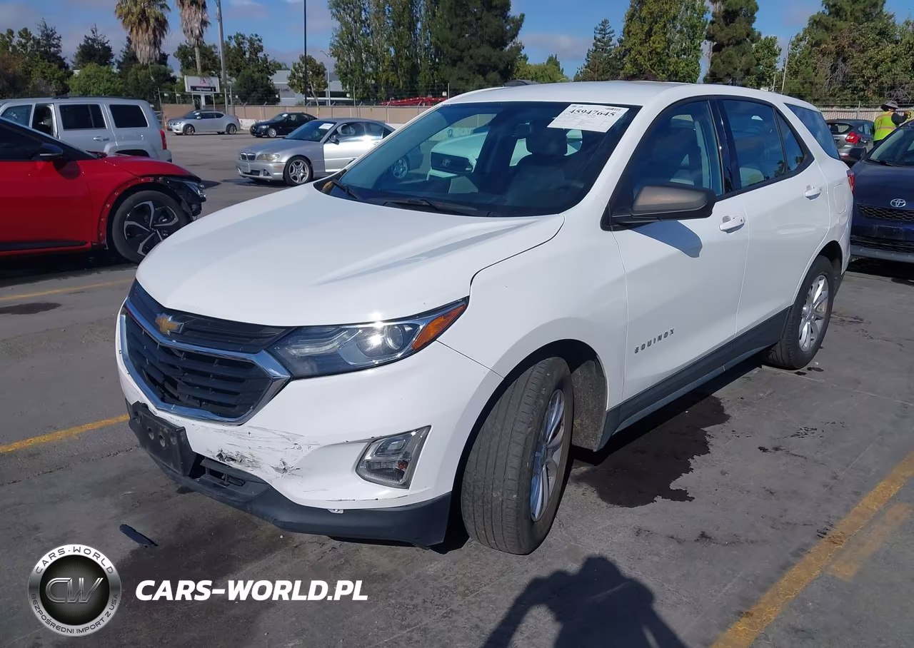 2019 Chevrolet Equinox Ls VIN:3GNAXHEV6KS557453 - 2