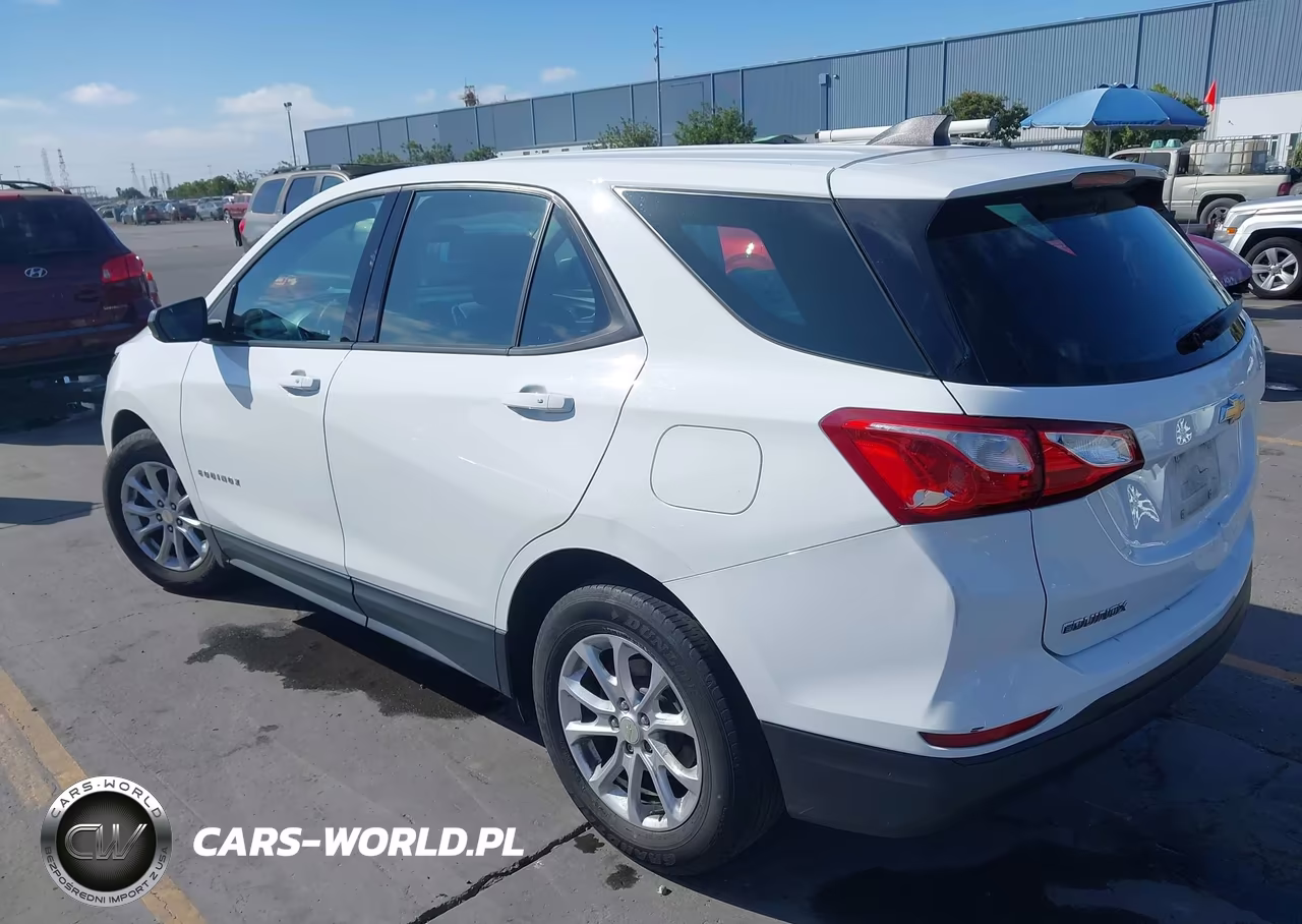 2019 Chevrolet Equinox Ls VIN:3GNAXHEV6KS557453 - 3