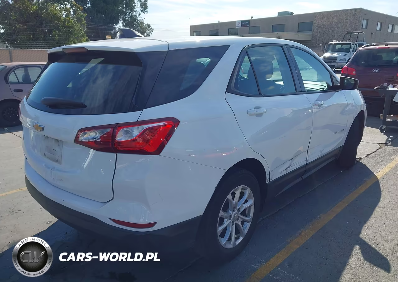2019 Chevrolet Equinox Ls VIN:3GNAXHEV6KS557453 - 4