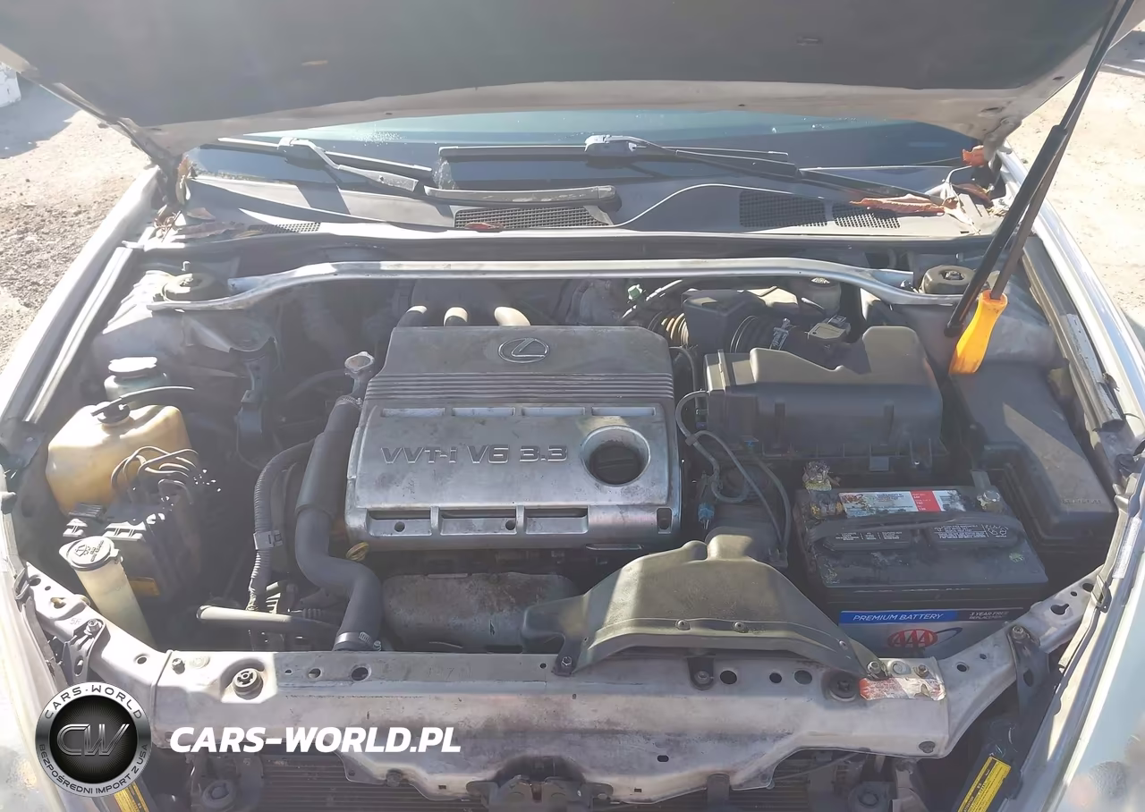 2004 Lexus Es 330 VIN:JTHBA30G545035130 - 10