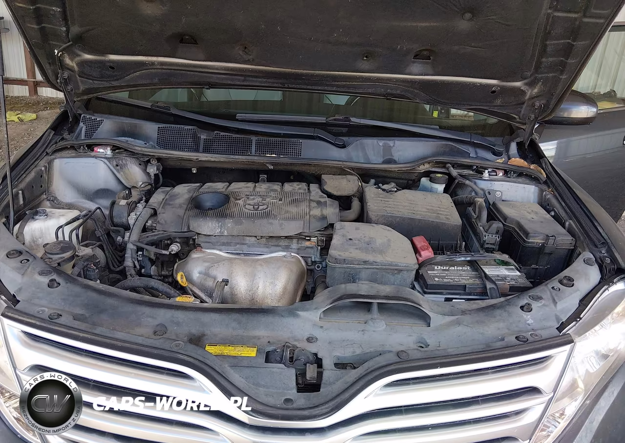 2010 Toyota Venza VIN:4T3ZA3BB7AU032557 - 10