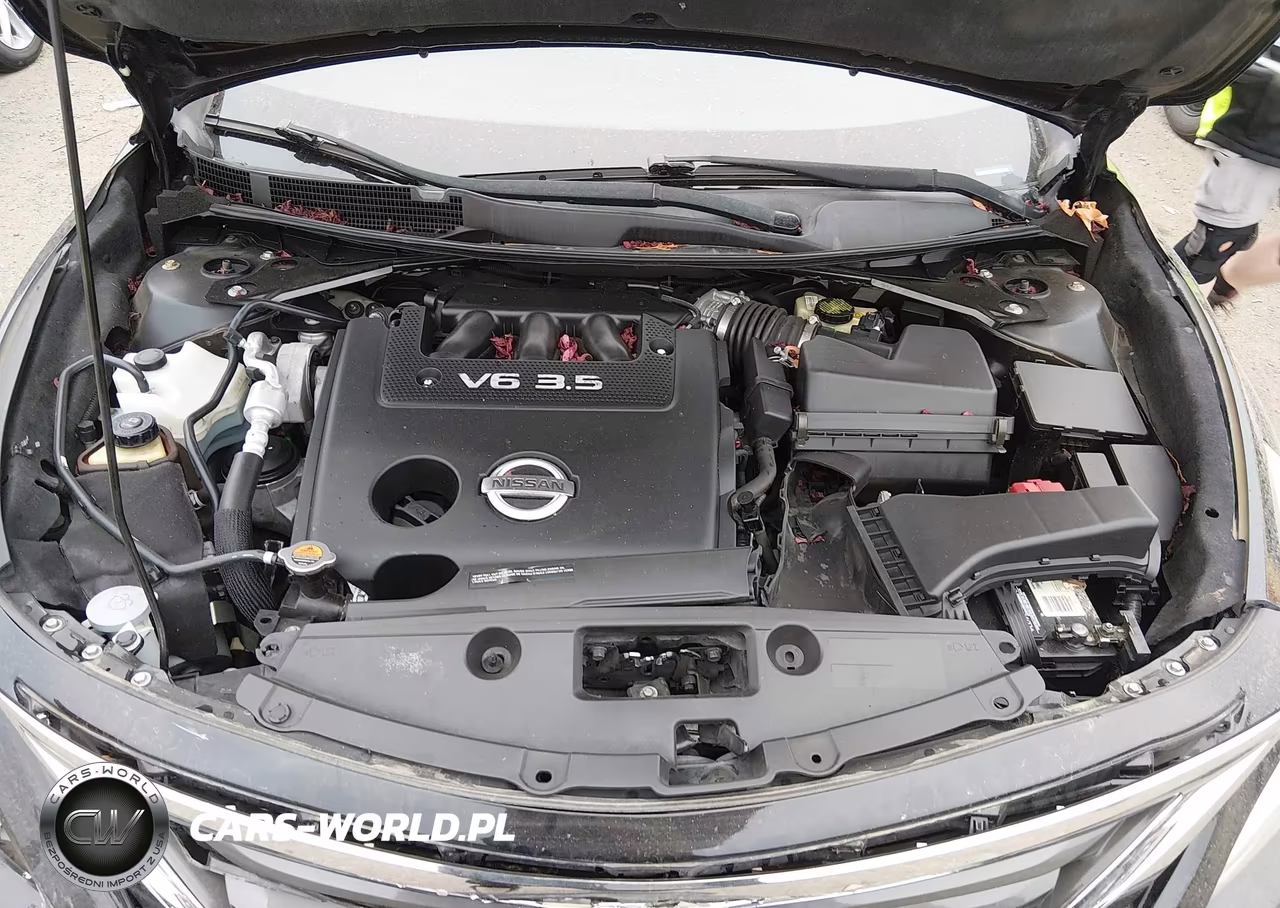 2014 Nissan Altima 3.5 Sl VIN:1N4BL3APXEC203728 - 10