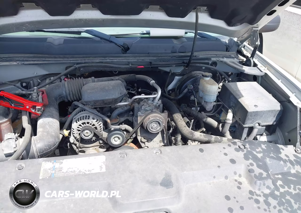 2011 Chevrolet Silverado 1500 Work Truck VIN:1GCRCPEX7BZ205987 - 10