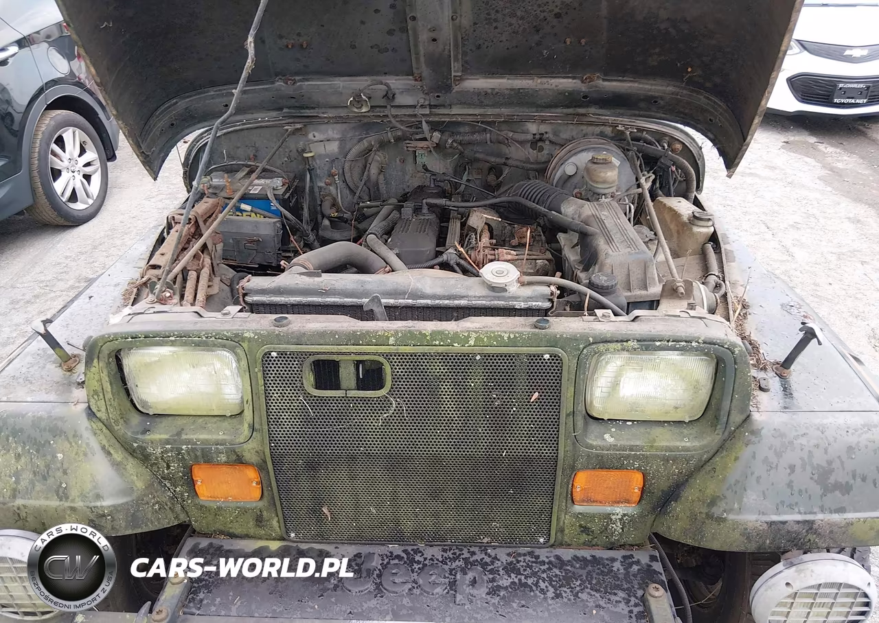 1995 Jeep Wrangler - Yj Sahara VIN:1J4FY49S9SP274963 - 10
