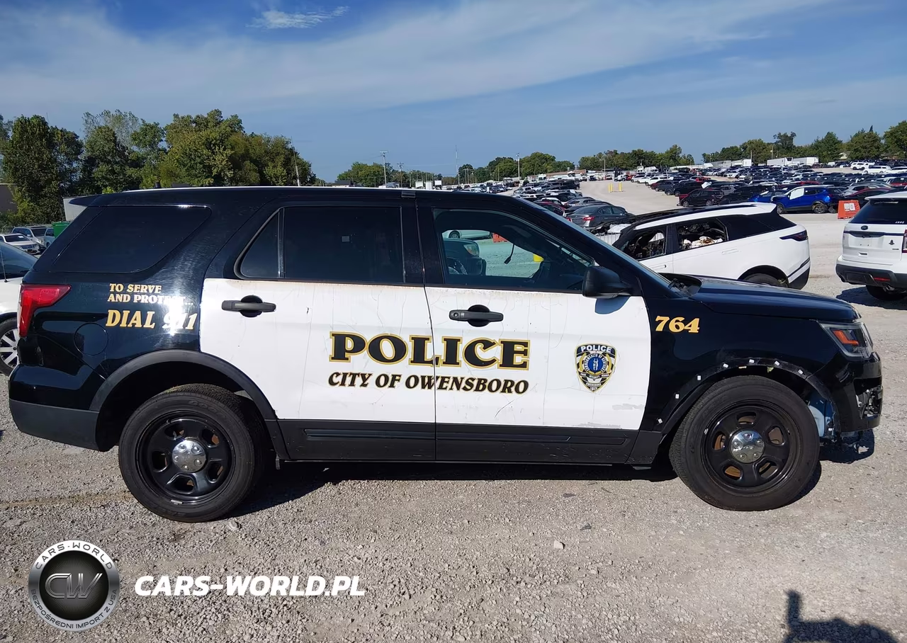 2018 Ford Police Interceptor Utility VIN:1FM5K8AR1JGB12399 - 13