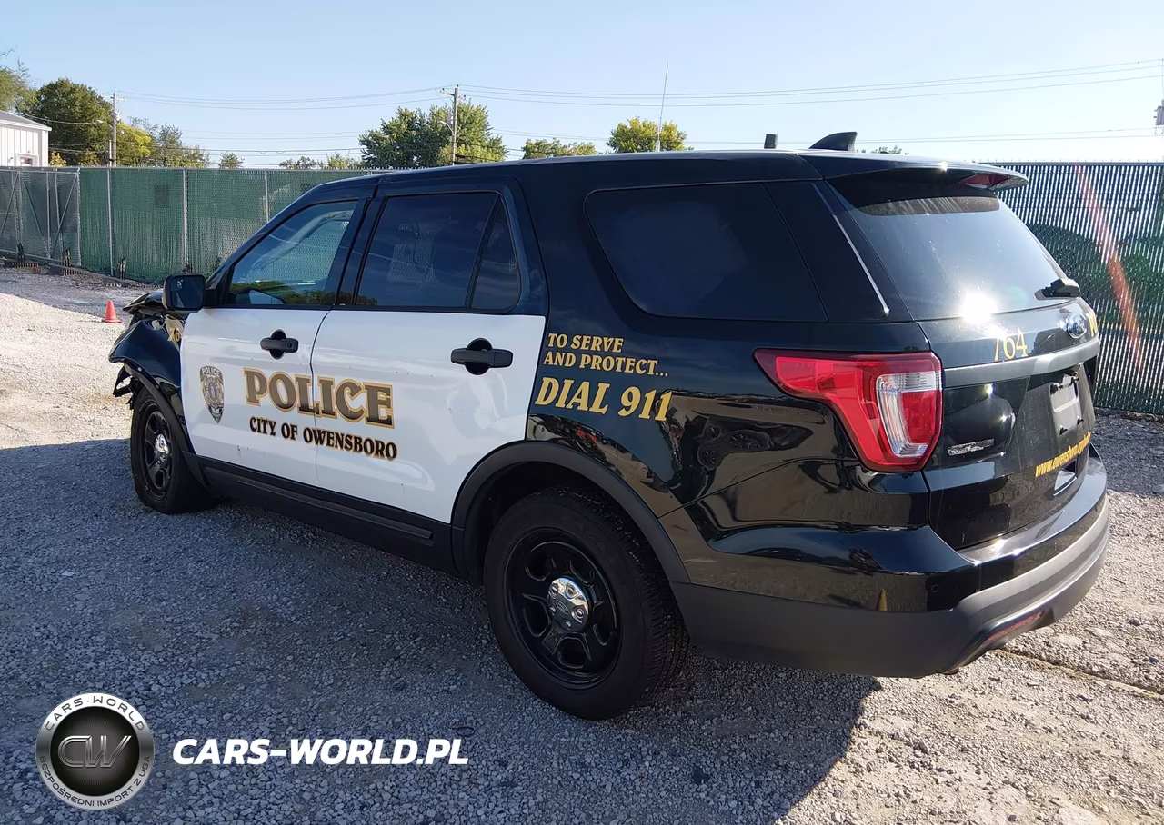 2018 Ford Police Interceptor Utility VIN:1FM5K8AR1JGB12399 - 3