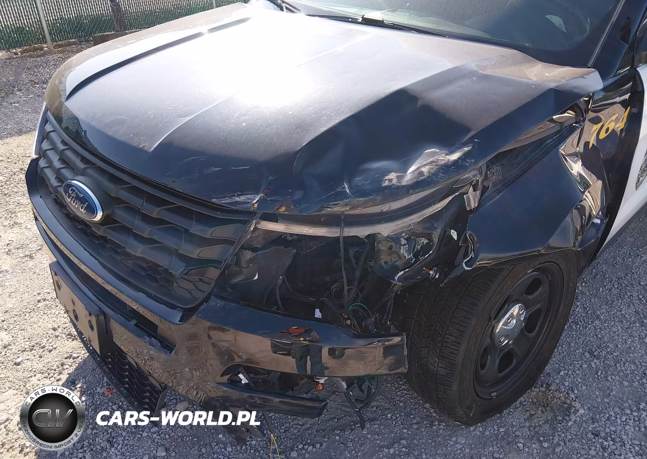 2018 Ford Police Interceptor Utility VIN:1FM5K8AR1JGB12399 - 6