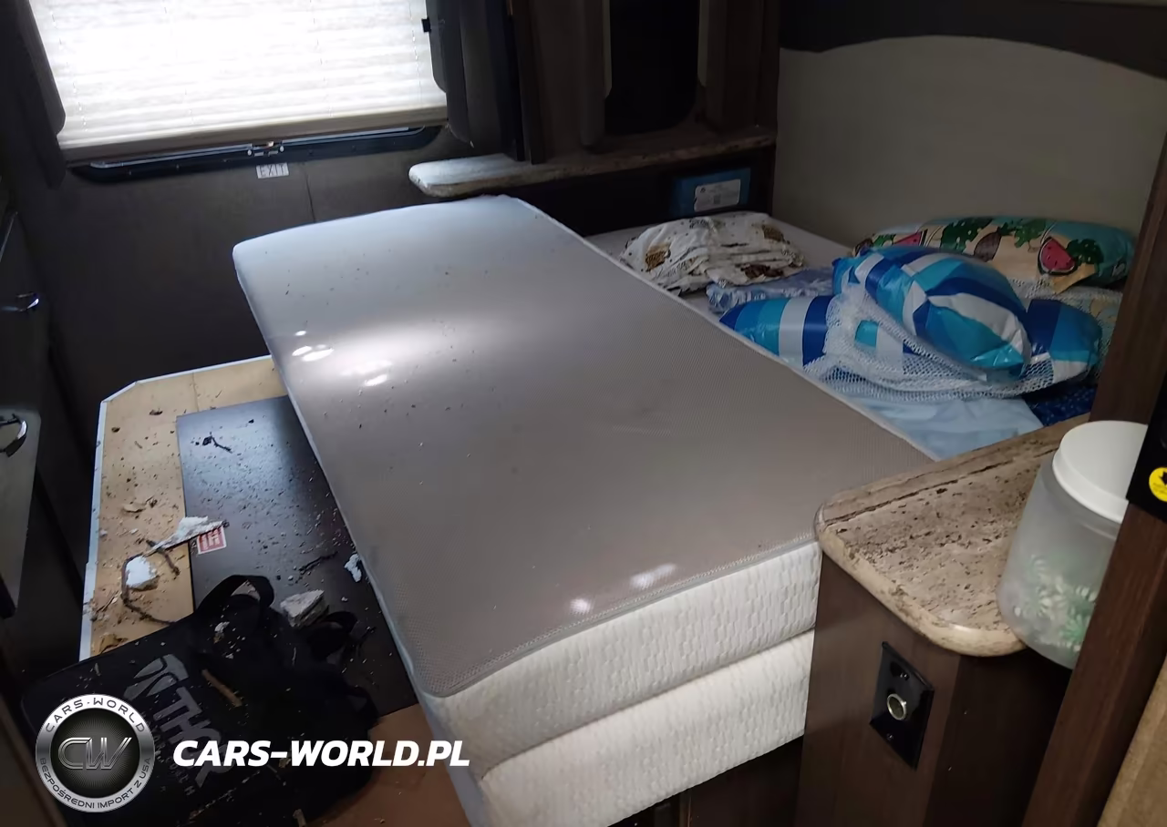2020 Ford Ace VIN:1F65F5DY3K0A08049 - 13