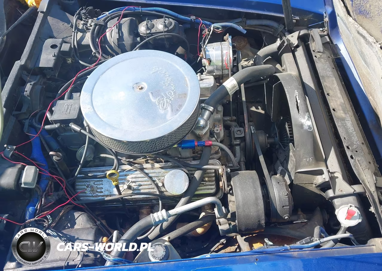 1981 Chevrolet Corvette VIN:1G1AY8765BS409844 - 10