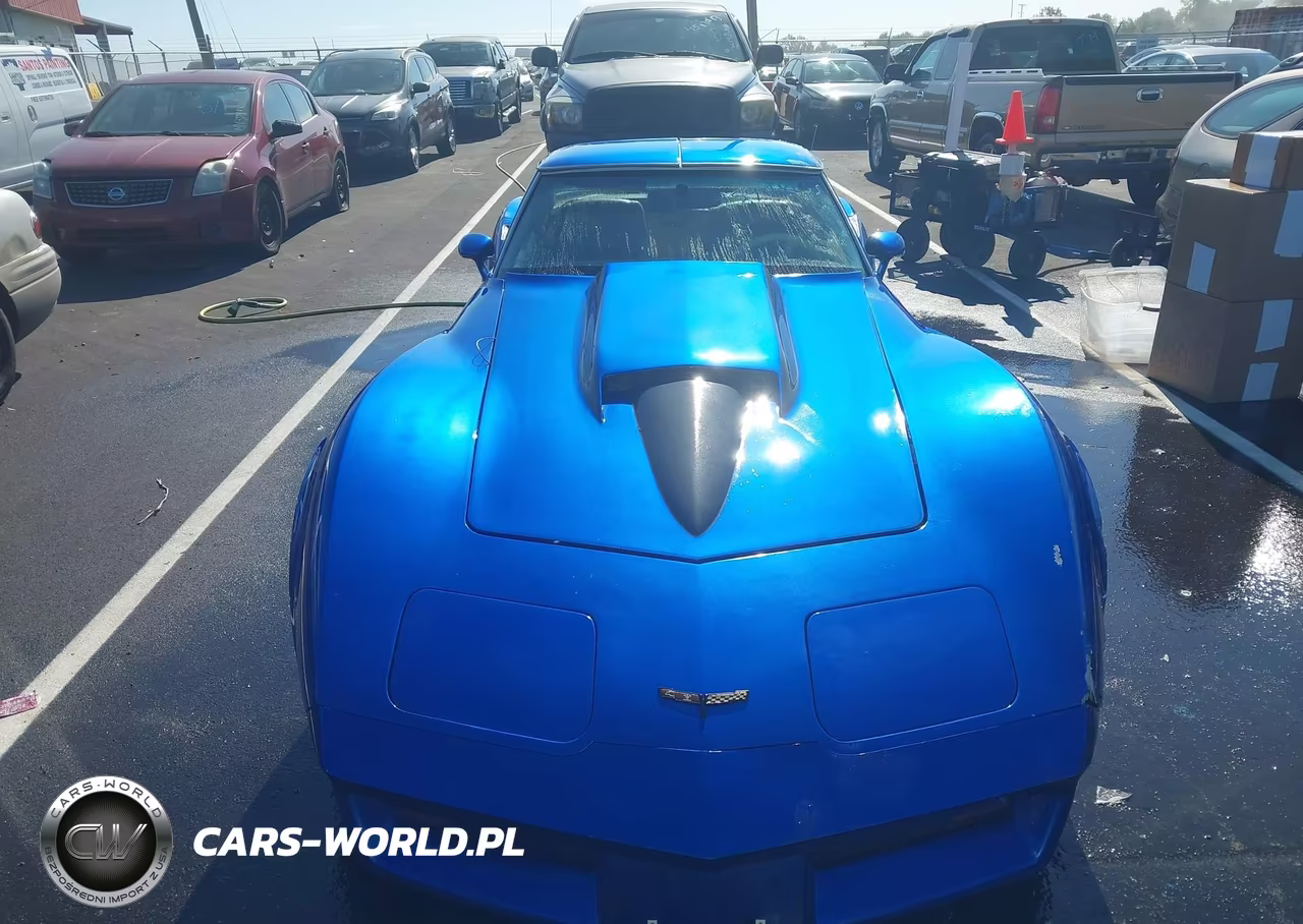 1981 Chevrolet Corvette VIN:1G1AY8765BS409844 - 12