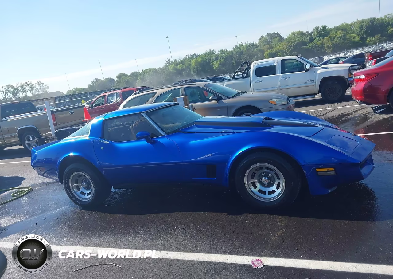 1981 Chevrolet Corvette VIN:1G1AY8765BS409844 - 13