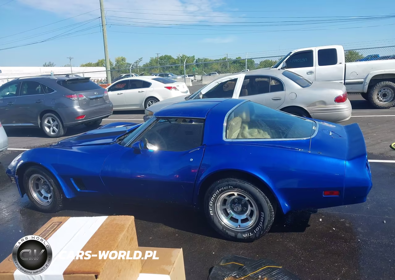 1981 Chevrolet Corvette VIN:1G1AY8765BS409844 - 14