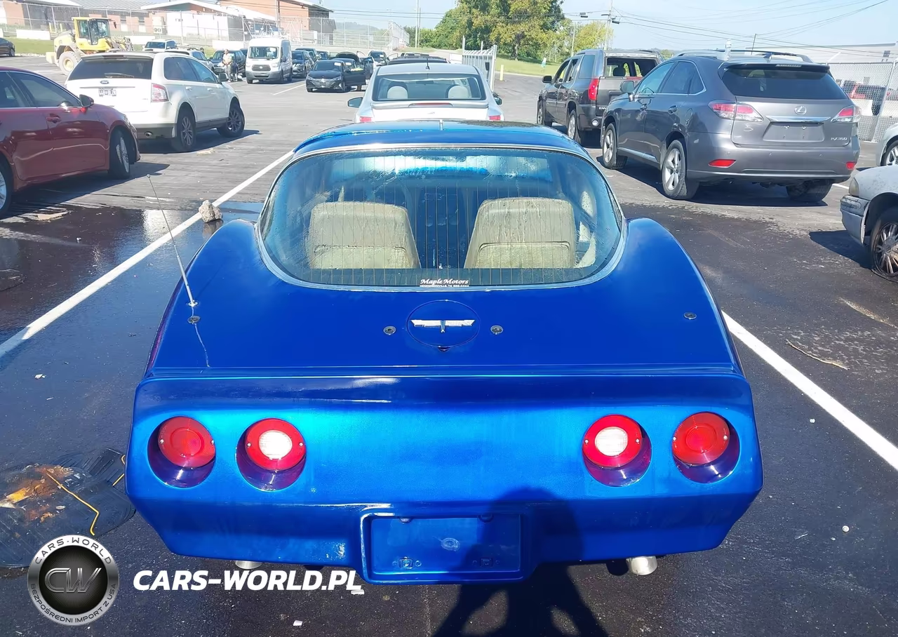 1981 Chevrolet Corvette VIN:1G1AY8765BS409844 - 16