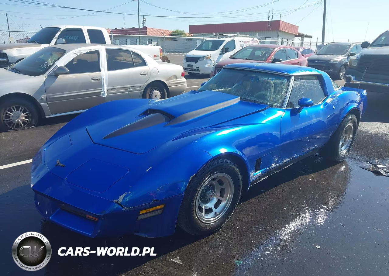 1981 Chevrolet Corvette VIN:1G1AY8765BS409844 - 2