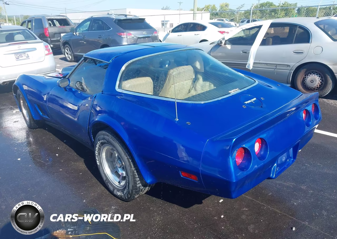 1981 Chevrolet Corvette VIN:1G1AY8765BS409844 - 3