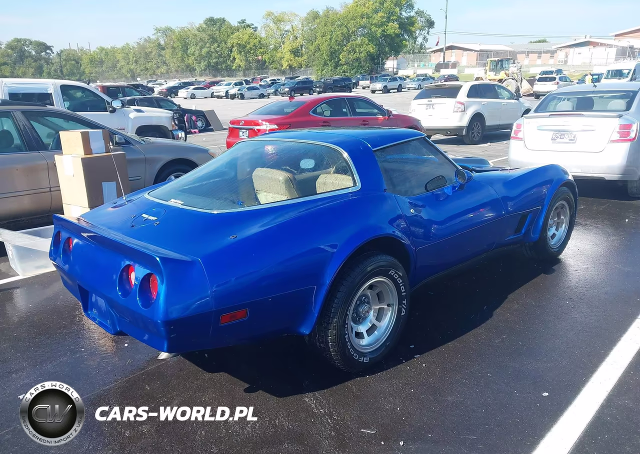 1981 Chevrolet Corvette VIN:1G1AY8765BS409844 - 4