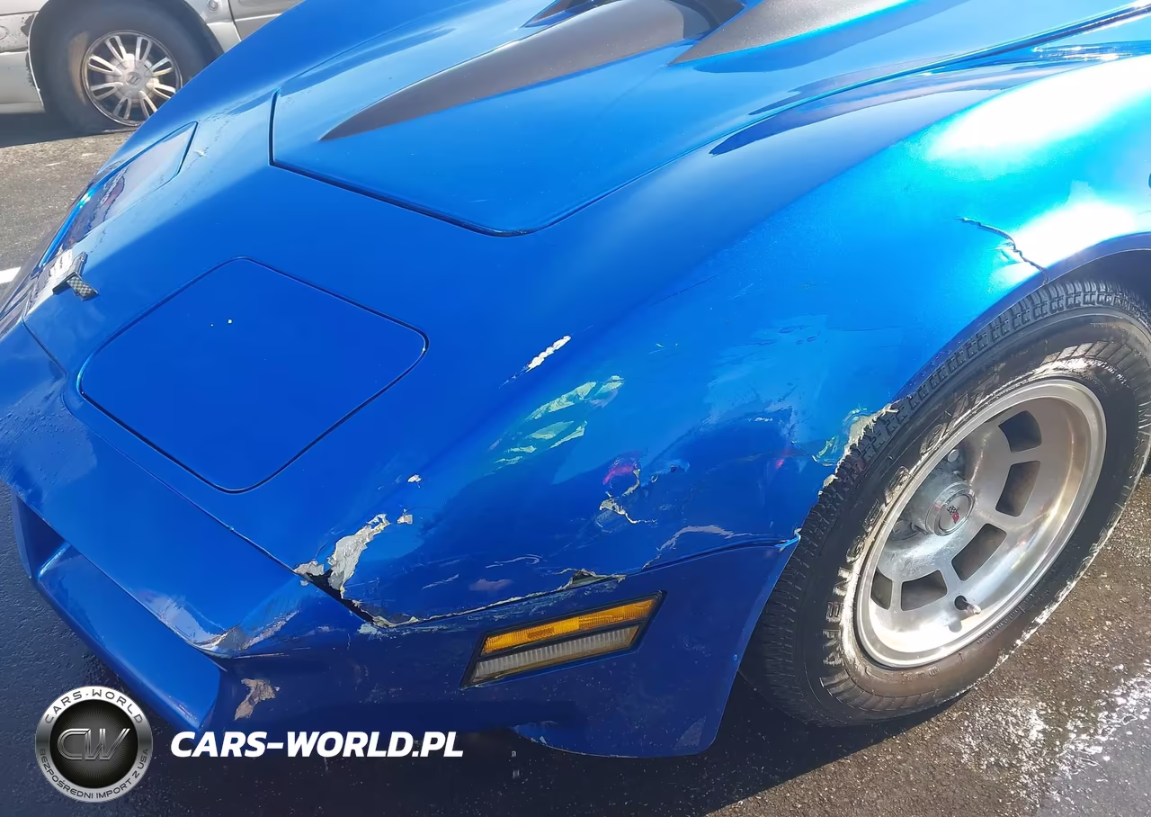 1981 Chevrolet Corvette VIN:1G1AY8765BS409844 - 6