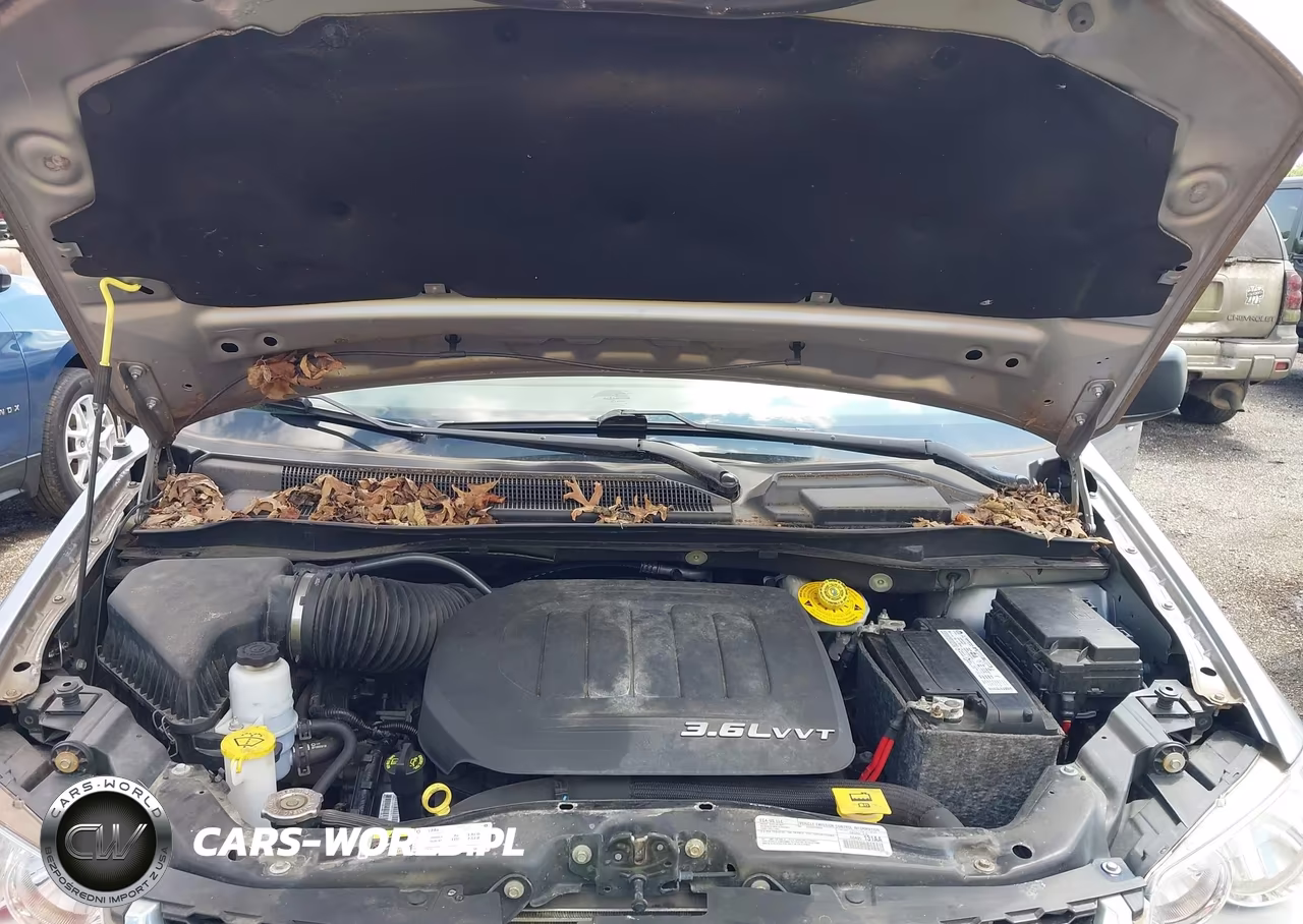 2018 Dodge Grand Caravan Se VIN:2C4RDGBG6JR273336 - 10