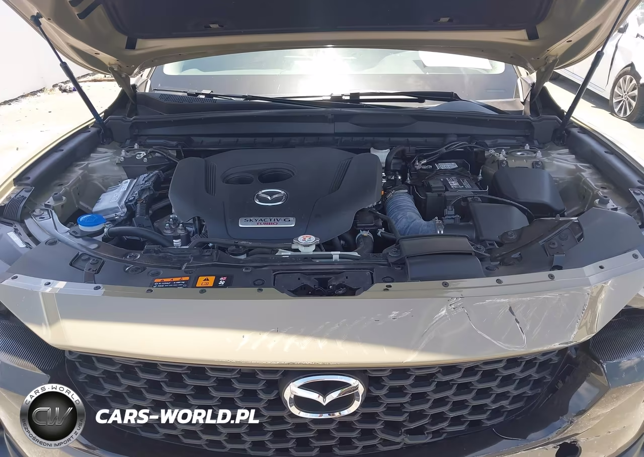 2024 Mazda Cx-50 2.5 Turbo Meridian Edition VIN:7MMVABXY1RN194533 - 10