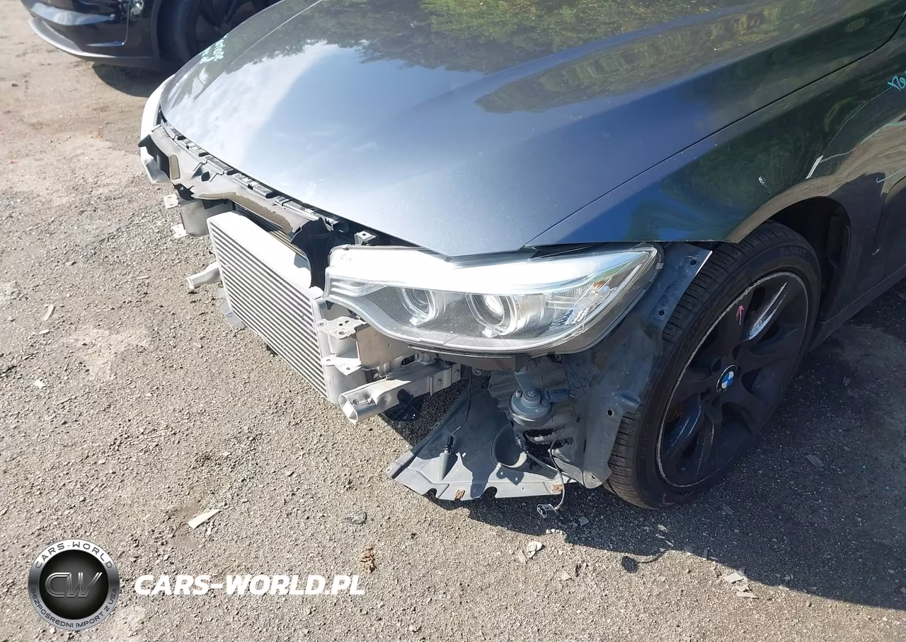 2015 BMW 435I xDrive VIN:WBA3R5C56FK372833 - 18