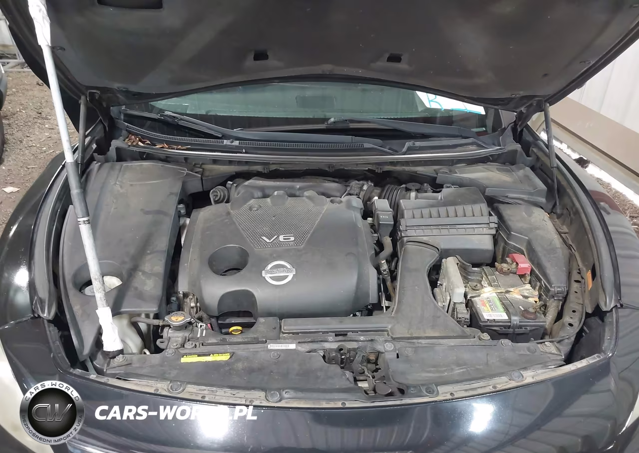 2010 Nissan Maxima 3.5 Sv VIN:1N4AA5AP0AC849223 - 10