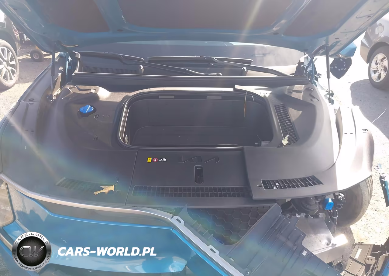 2024 Kia Ev9 Wind VIN:KNDAFFS5XR6036416 - 10
