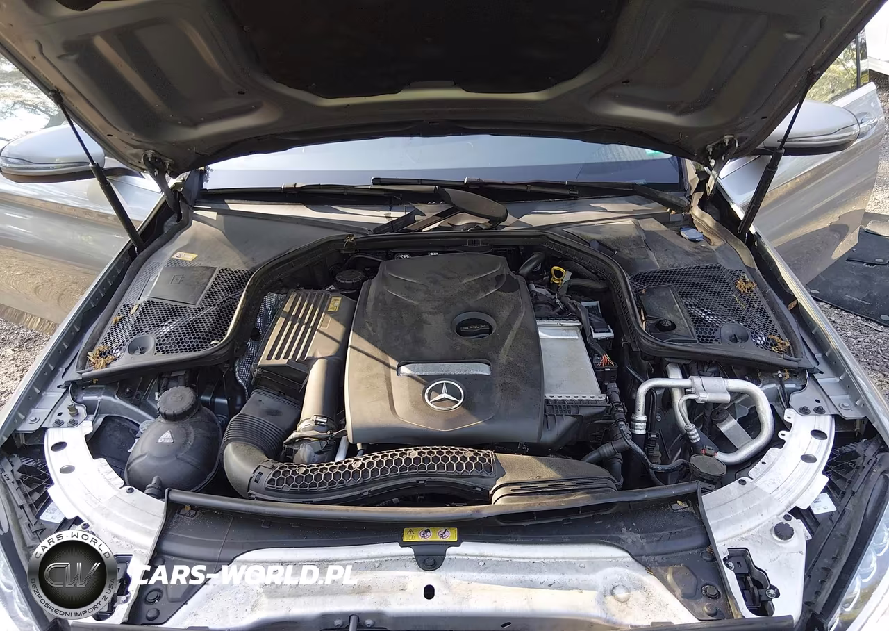 2016 Mercedes-Benz C 300 4Matic VIN:55SWF4KB5GU126816 - 10